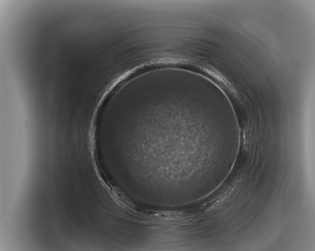 X0000116450436200912081621