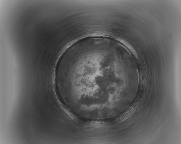 X0000116450437200912081621