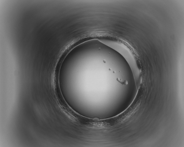 X0000116450439200912081621