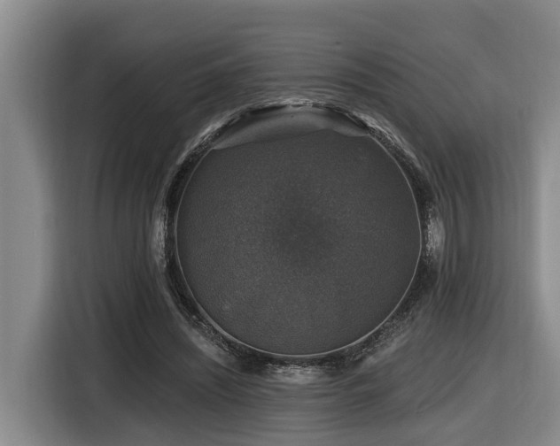 X0000116450444200912081621