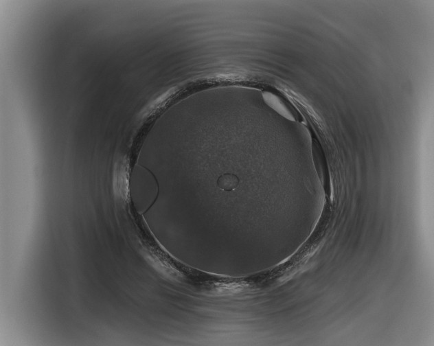 X0000116450446200912081621