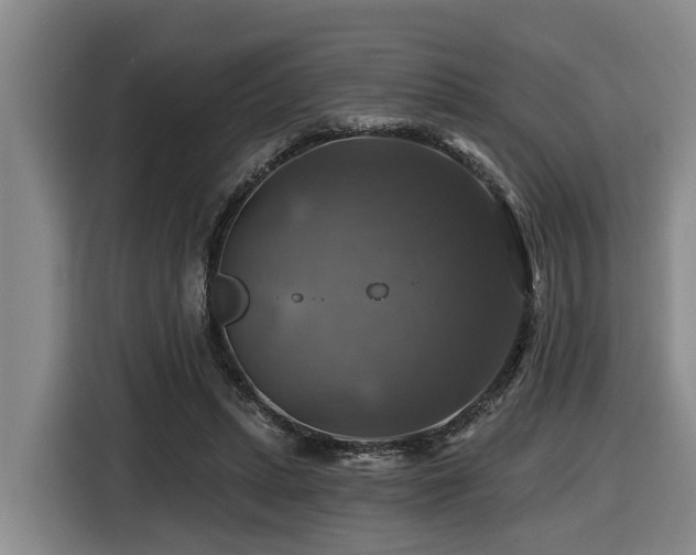 X0000116450447200912081621