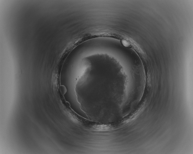 X0000116450449200912081621