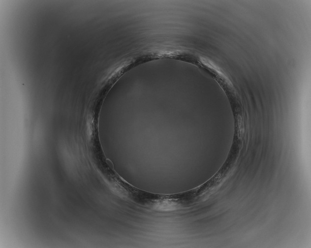 X0000116450451200912081621