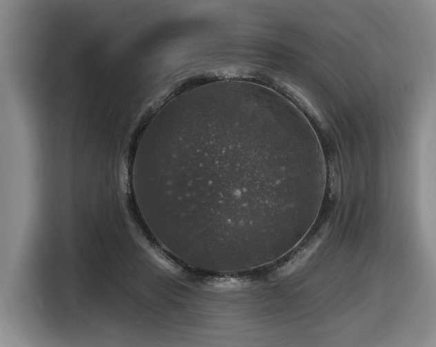X0000116450453200912081621