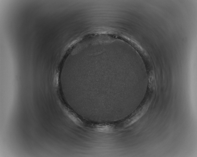 X0000116450454200912081621