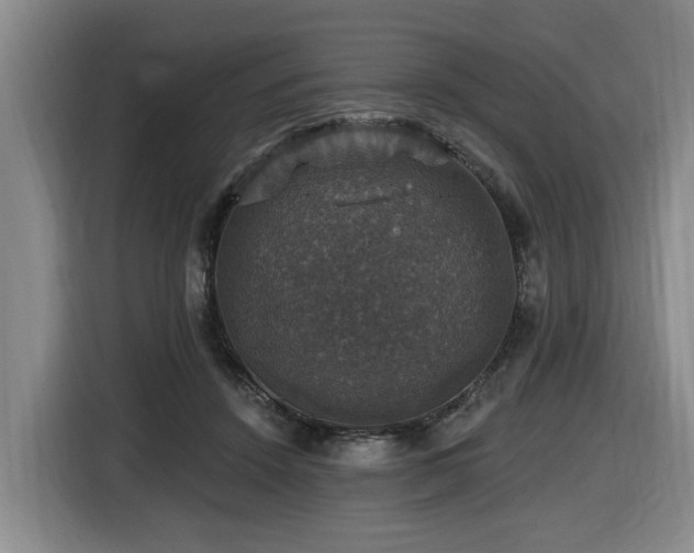 X0000116450456200912081621