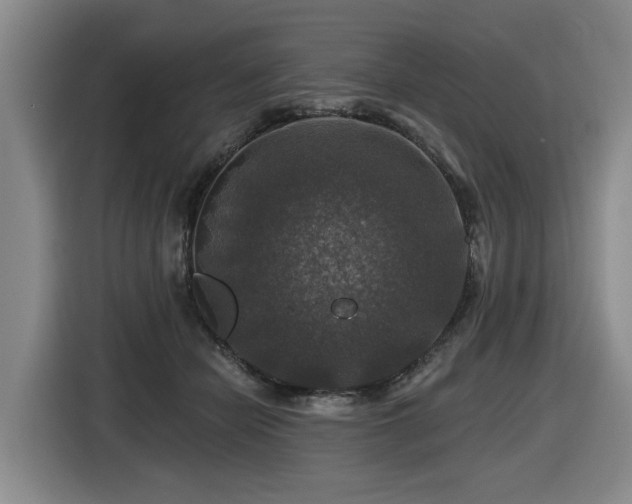 X0000116450462200912081622