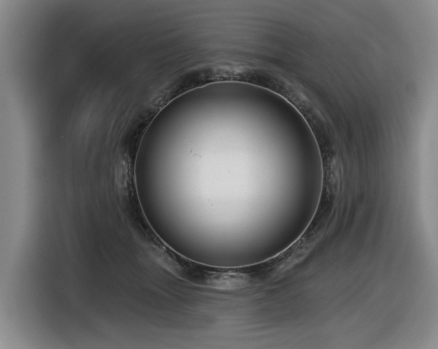 X0000116450463200912081622