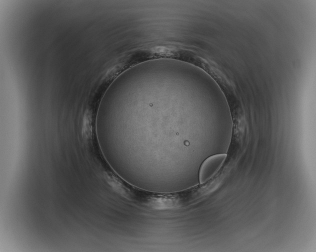 X0000116450466200912081622