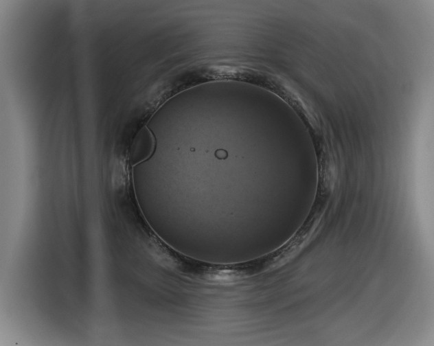 X0000116450467200912081622