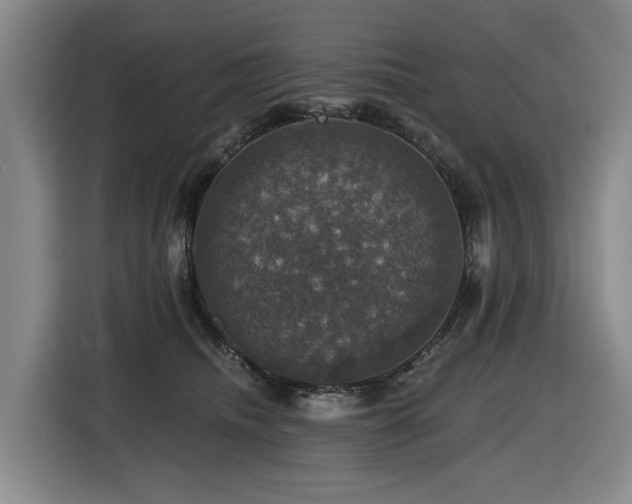X0000116450468200912081622