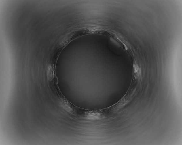 X0000116450471200912081622