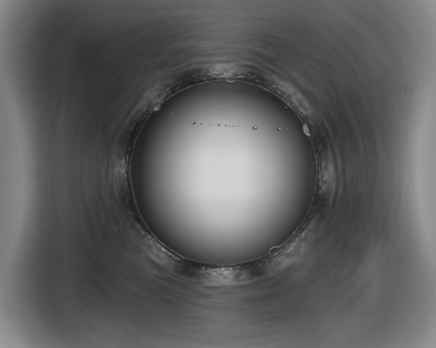 X0000116450473200912081622
