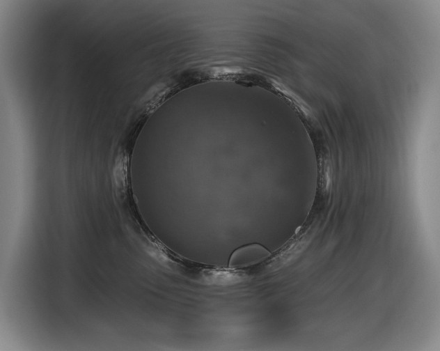 X0000116450475200912081622