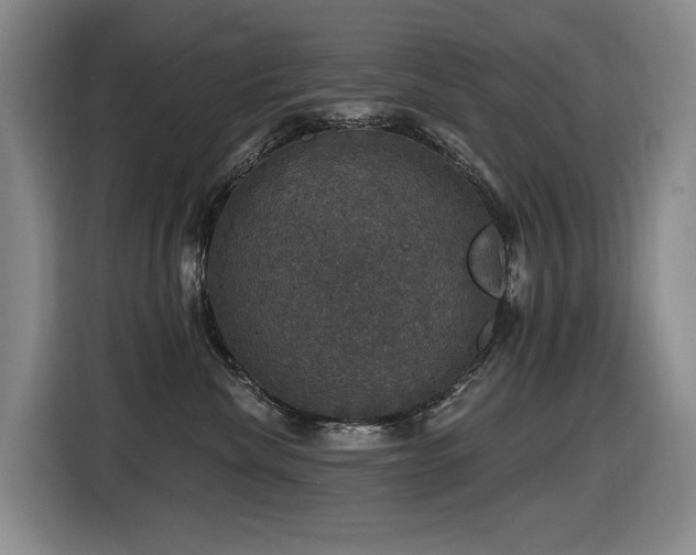 X0000116450476200912081622