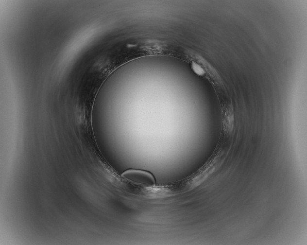 X0000116450477200912081622