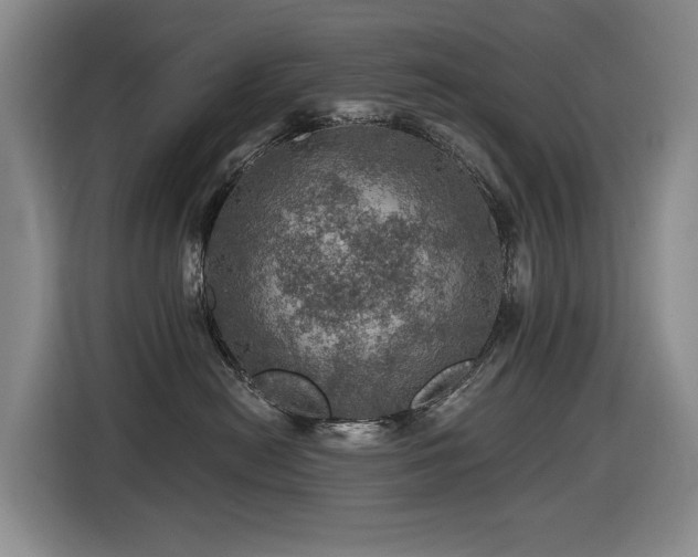 X0000116450478200912081622