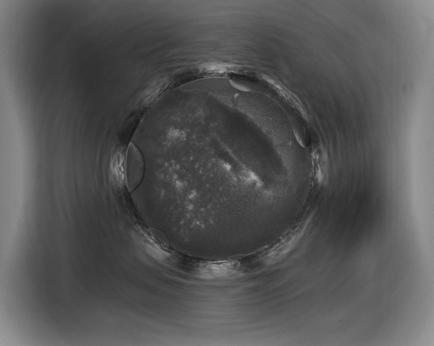 X0000116450479200912081622