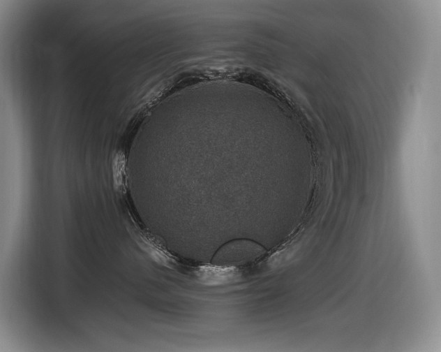 X0000116450480200912081622