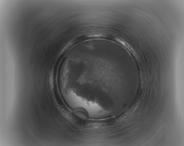 X0000116450482200912081621