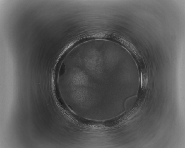 X0000116450483200912081621