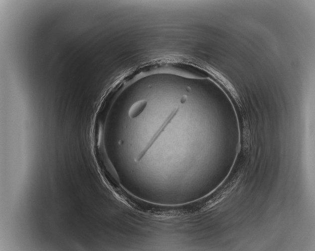 X0000116450485200912081621