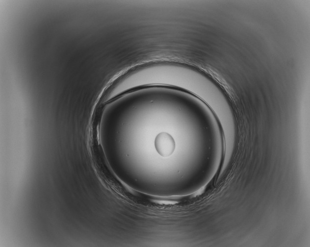 X0000116450488200912081621
