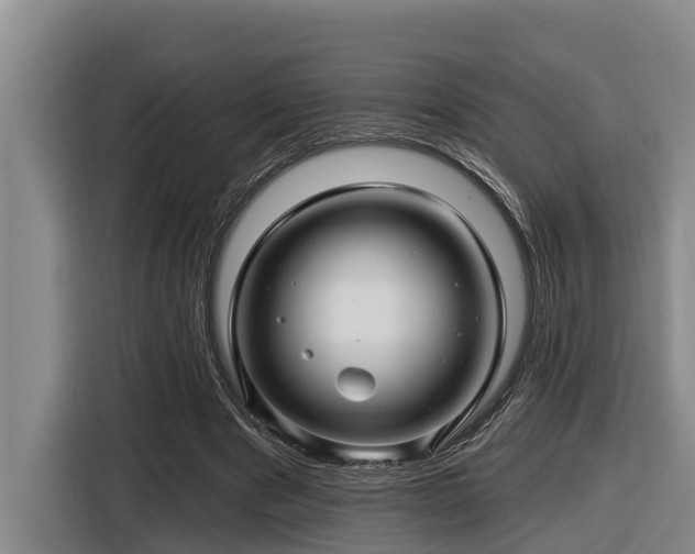 X0000116450489200912081621