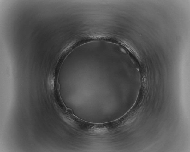X0000116450491200912081621