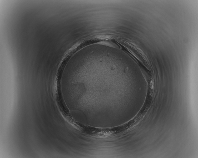 X0000116450492200912081621