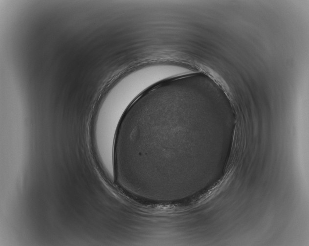 X0000116450493200912081621