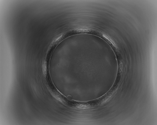 X0000116450494200912081621