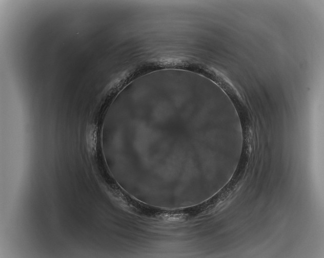 X0000116450495200912081621