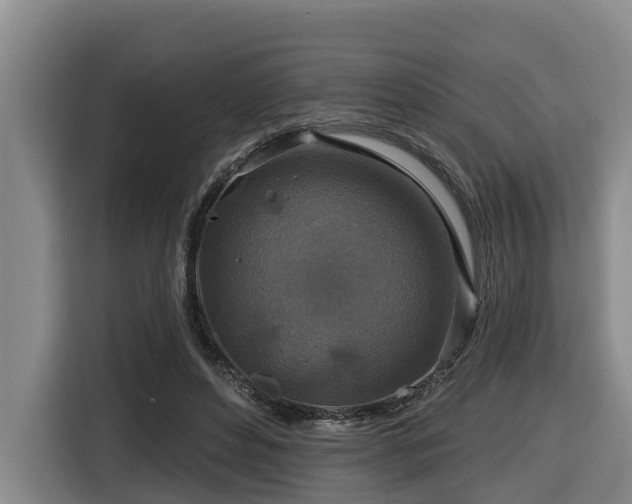 X0000116450496200912081621