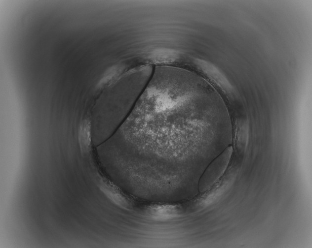 X0000116450501200912081621