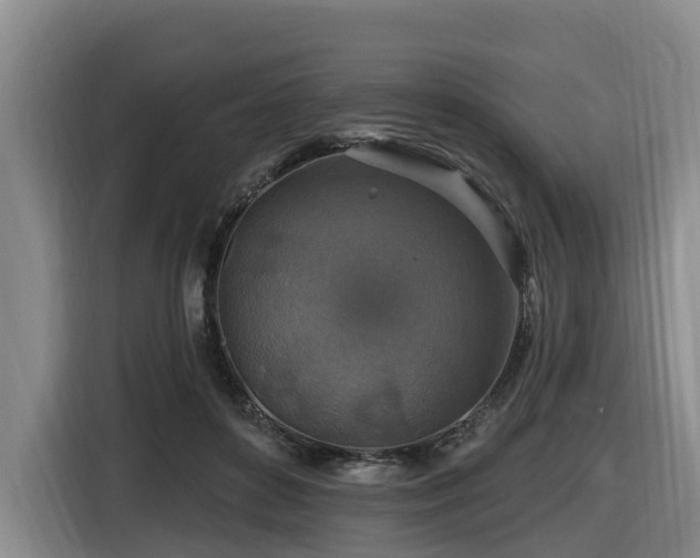 X0000116450504200912081621