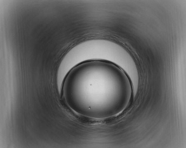 X0000116450505200912081621