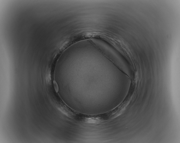 X0000116450508200912081621