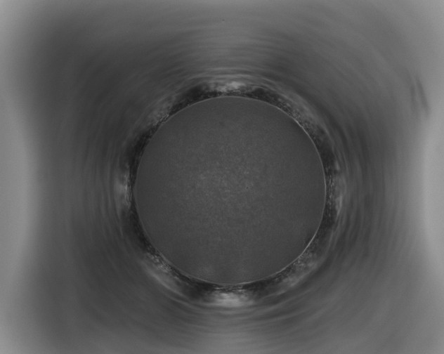 X0000116450510200912081621