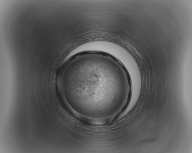 X0000116450513200912081621