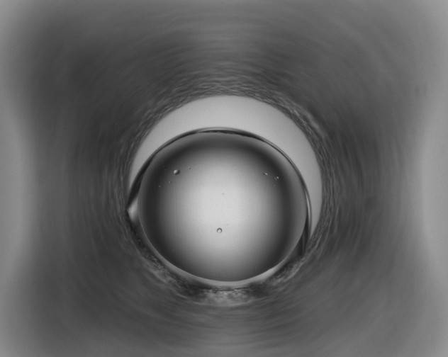 X0000116450517200912081621