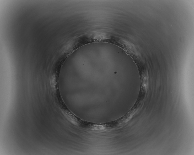 X0000116450519200912081621