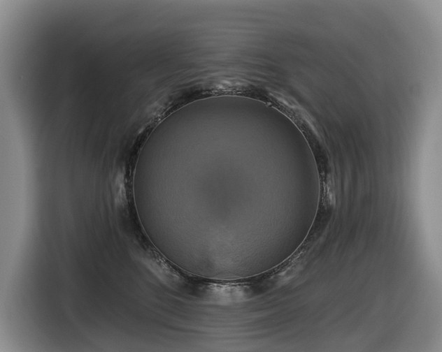 X0000116450520200912081621