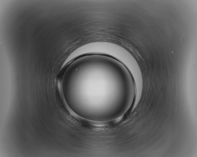 X0000116450521200912081621