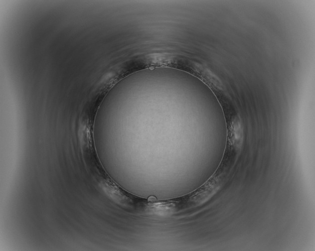 X0000116450522200912081621