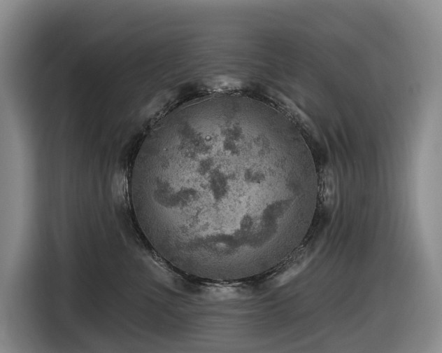 X0000116450523200912081621