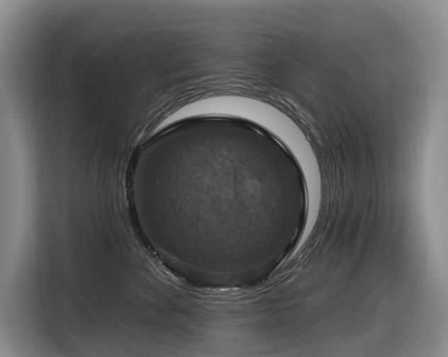 X0000116450524200912081621