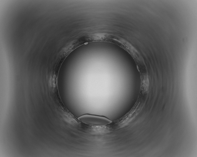 X0000116450525200912081621