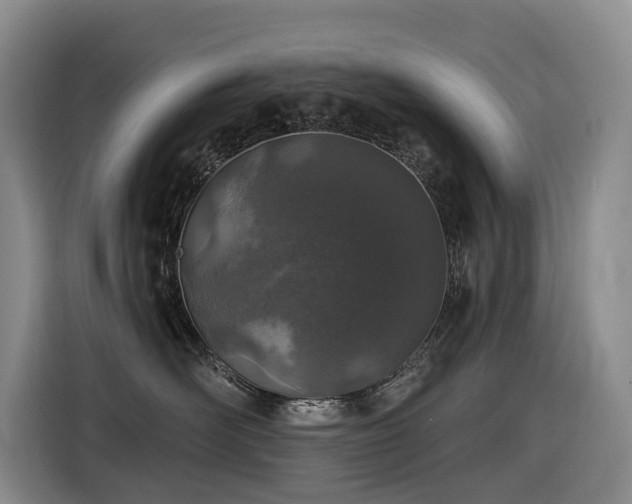 X0000116450526200912081621